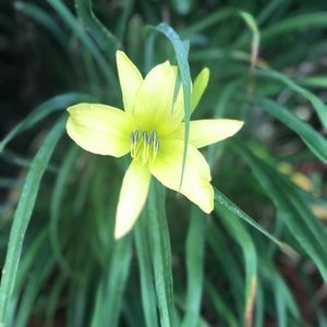 Meet your Posher, Bridgette